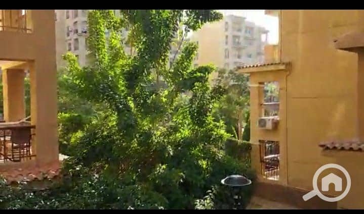 11 76a62591-511e-4638-8583-7f2cc06f7cbd. jpeg