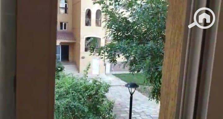 17 e62b0a27-d46e-498d-b178-4073c5d067c3. jpeg