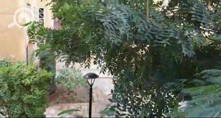 18 ec7b9f35-a0cd-434c-90ed-87eab01abd80. jpeg