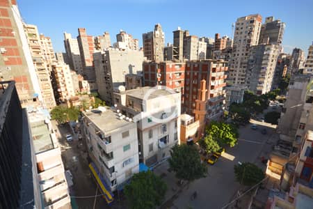 3 Bedroom Flat for Sale in Bolkly, Alexandria - 37. jpg