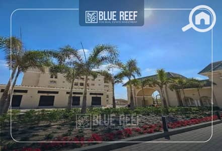 فلیٹ 3 غرف نوم للبيع في مدينة المستقبل، القاهرة - WhatsApp Image 2025-12-29 at 1.06. 30 PM. jpeg