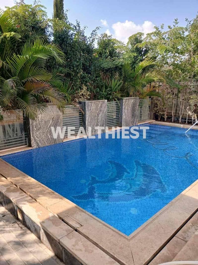 2 8471cc62-e164-4510-a9eb-582d7f4b9705. jpg