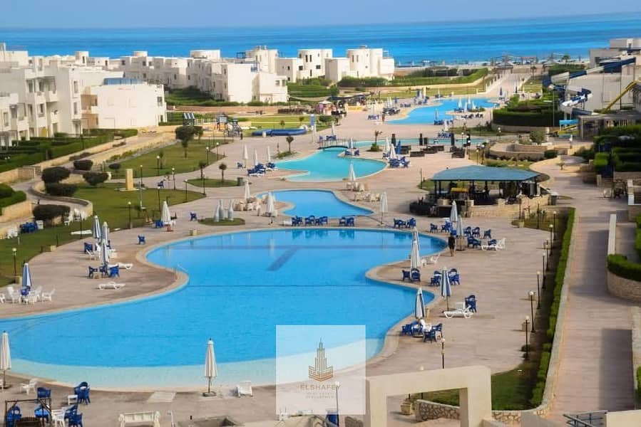 8 FB_IMG_1767002910118. jpg