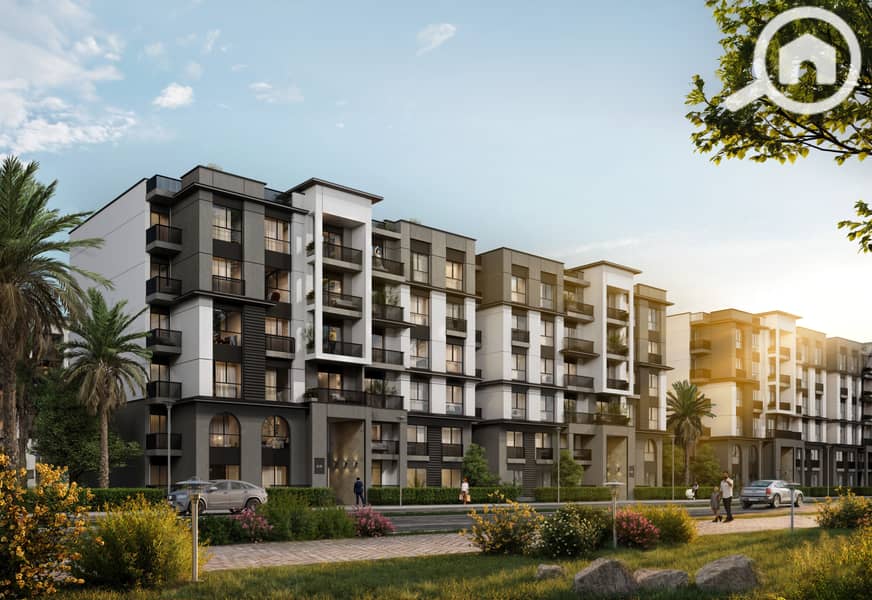 7 Citalia_comp_shots_2. jpg