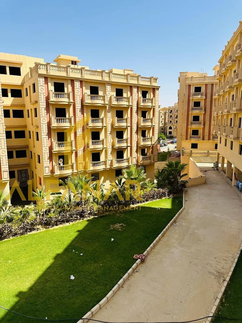 8 WhatsApp Image 2025-12-24 at 17.08. 02 (1). jpeg