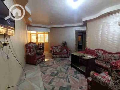 2 Bedroom Flat for Rent in New Cairo, Cairo - 1000150891. jpg 2 Bedroom Flat for Rent in New Cairo, Cairo - 1000150891. jpg