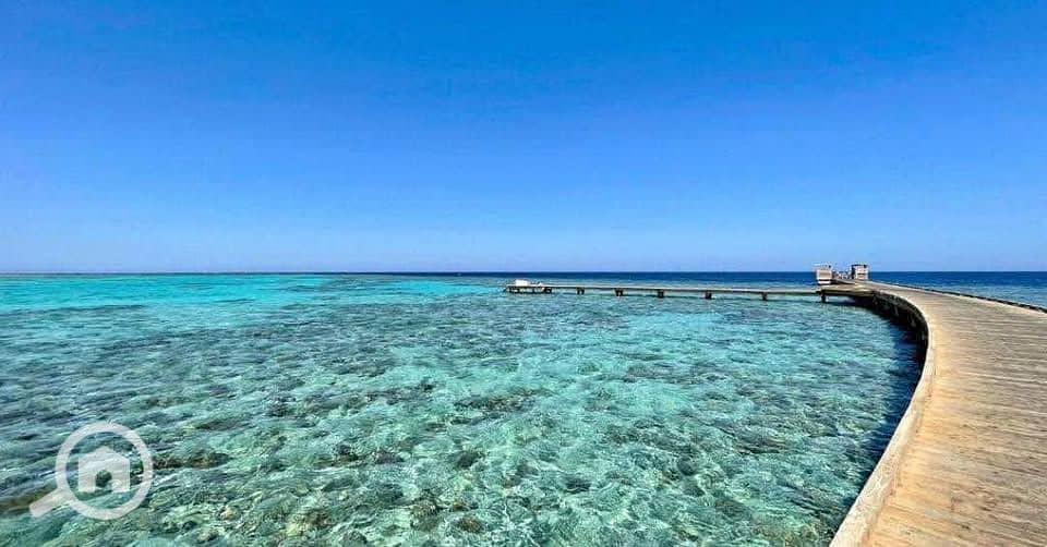 2 559157570_1174905380821383_8238549268628791593_n. jpg