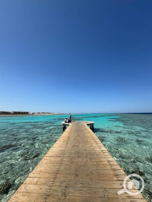 4 592132751_2009176806317875_7479202503694248815_n. jpg