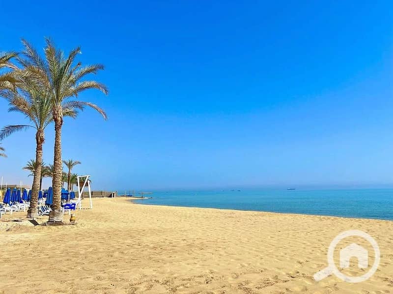 9 592131631_1188033783305857_2115544834222073157_n. jpg