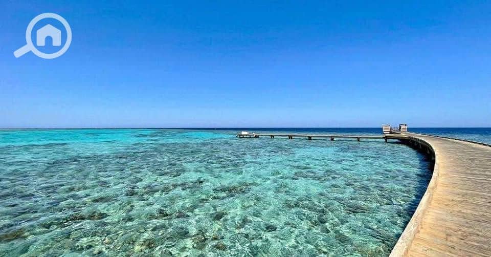 3 559157570_1174905380821383_8238549268628791593_n. jpg