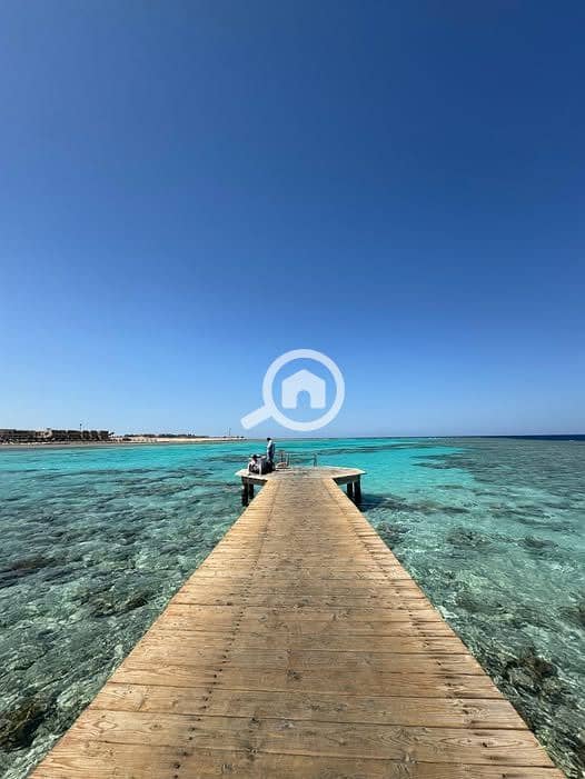 4 592132751_2009176806317875_7479202503694248815_n. jpg