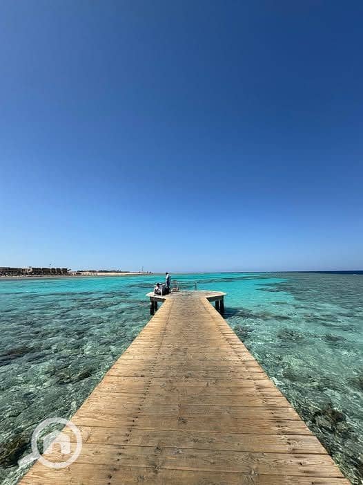 5 592132751_2009176806317875_7479202503694248815_n. jpg