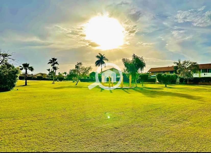 7 508475855_24379075415033143_8266574853314309006_n. jpg