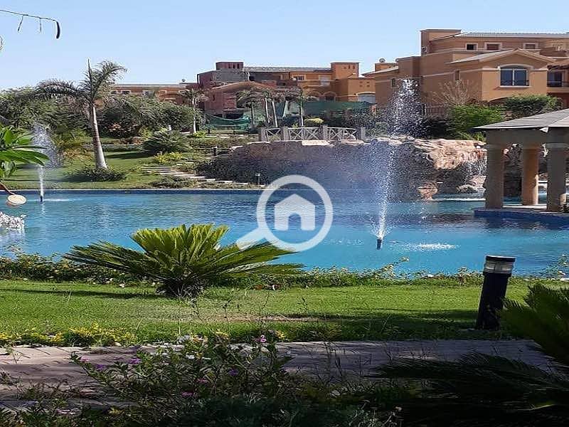 13 476019226_122239969550022102_5762194272847205599_n. jpg