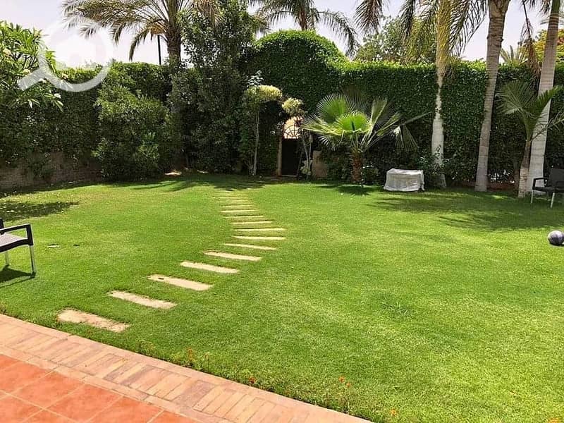 7 388867303_6757393564354497_157737261195051796_n. jpg