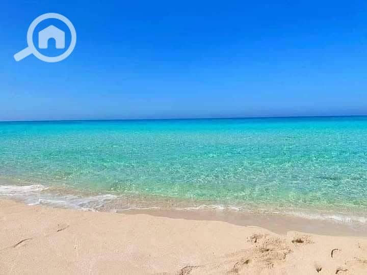 4 WhatsApp Image 2025-12-16 at 1.25. 52 PM (1). jpeg