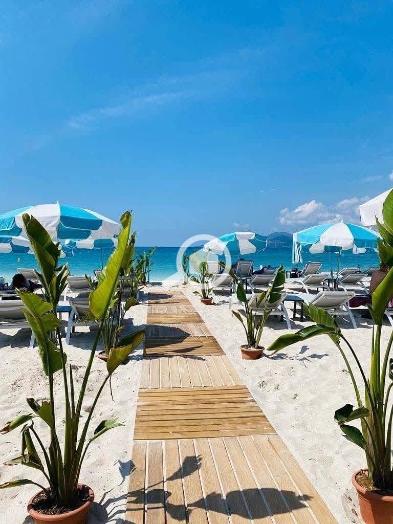 8 WhatsApp Image 2025-12-16 at 1.25. 55 PM. jpeg