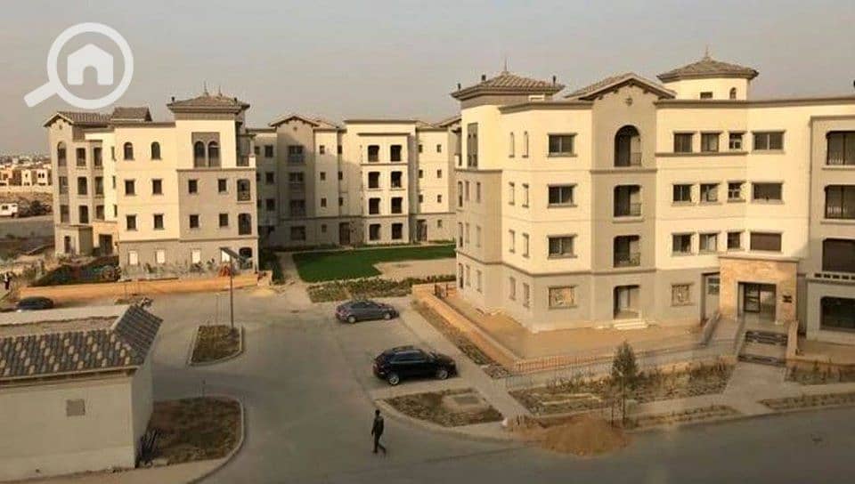 8 74353906_146511090048281_3038199903151980544_n. jpg