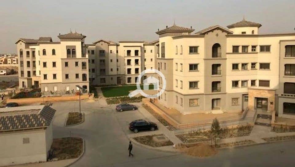 5 74353906_146511090048281_3038199903151980544_n. jpg