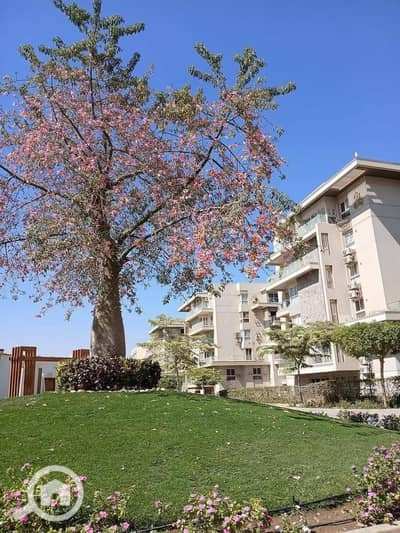 3 Bedroom Flat for Sale in New Cairo, Cairo - WhatsApp Image 2025-07-16 at 11.03. 26 AM. jpeg