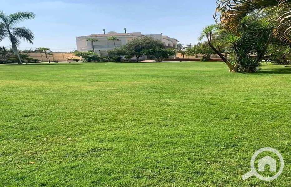 8 497151774_1920331465375897_1315992143549945045_n. jpg