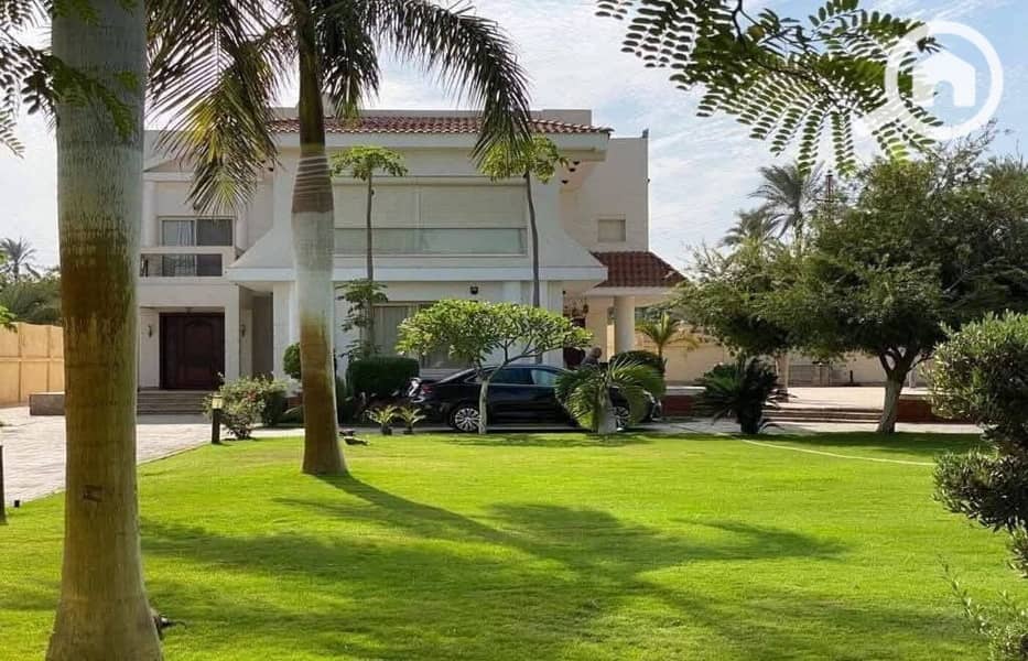 9 499435071_1927536017988775_8011871741483014010_n. jpg