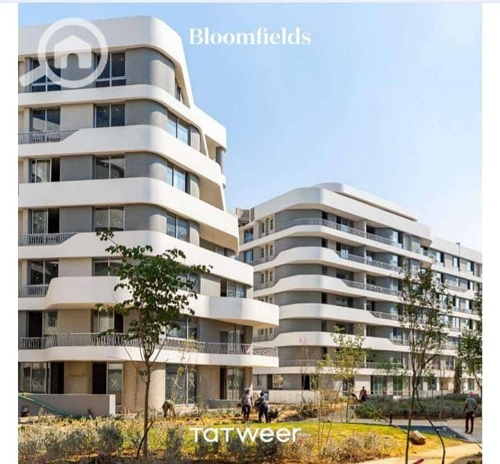 2 WhatsApp Image 2025-12-11 at 13.24. 20. jpeg