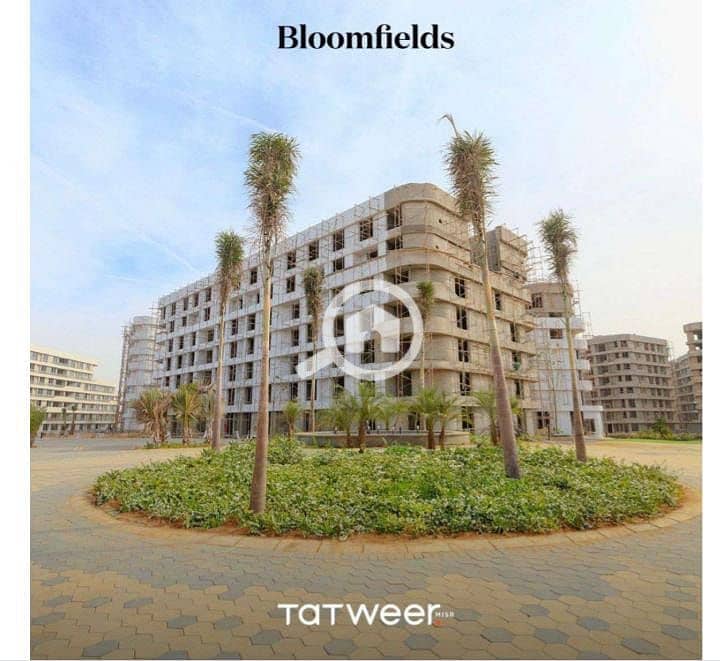 4 WhatsApp Image 2025-12-11 at 13.24. 22 (1). jpeg