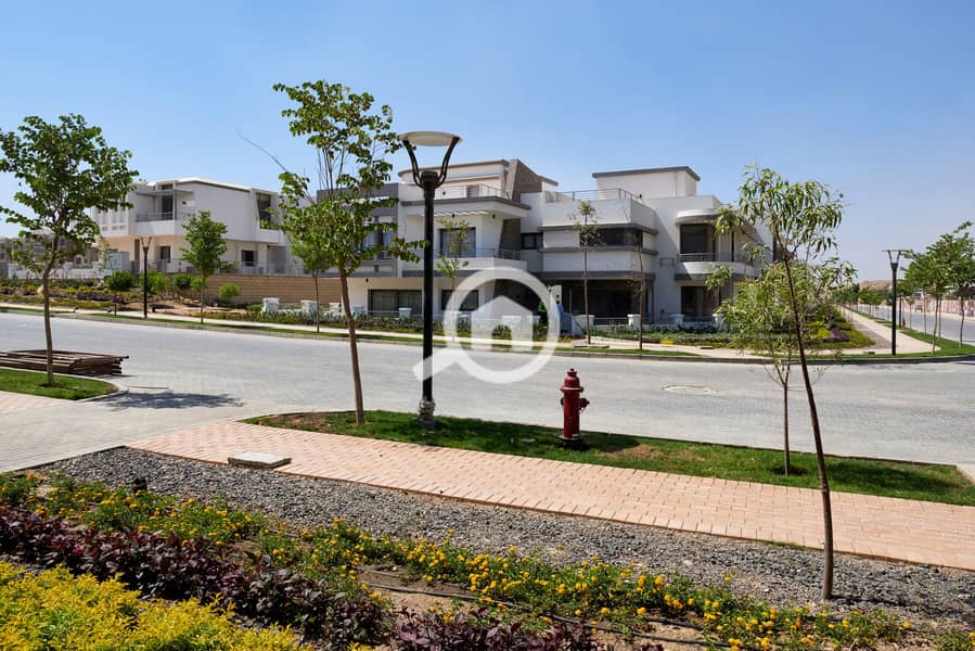 3 tagS_July_2016_277. jpg