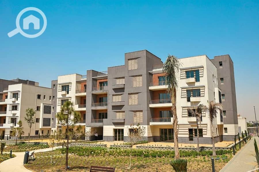 5 586439877_122172911996607373_1139095219329910257_n. jpg