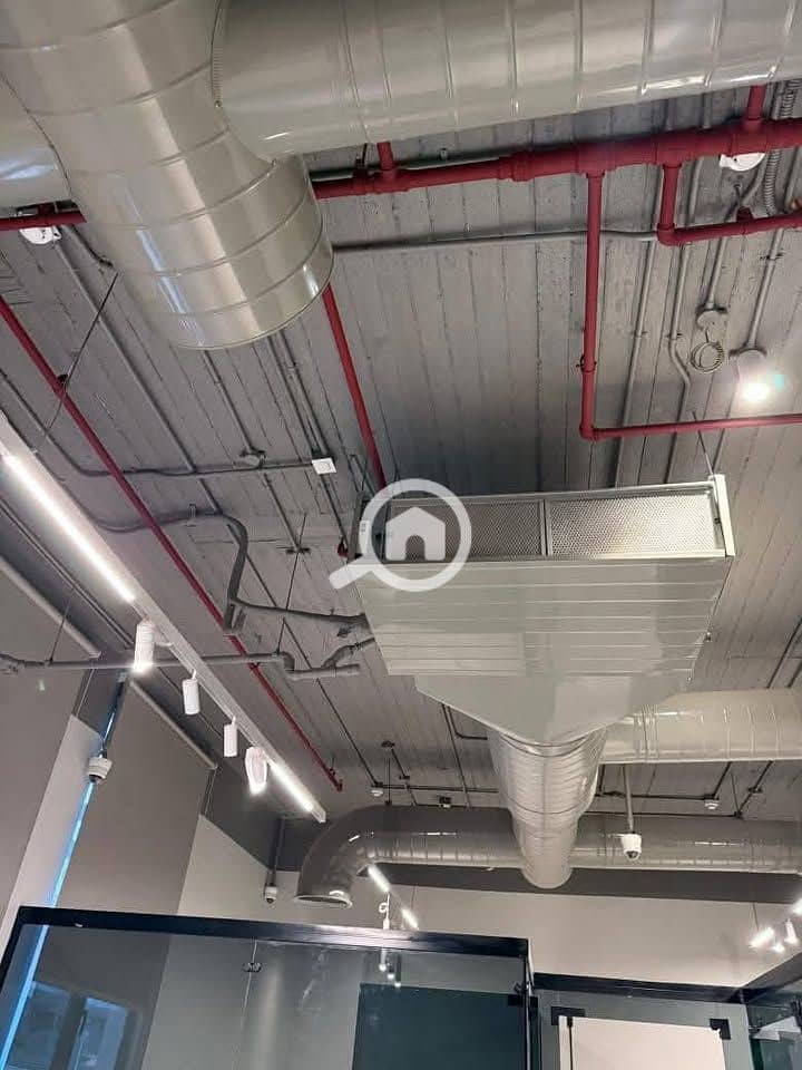 8 596619869_122156017130888009_6762834791805359158_n. jpg