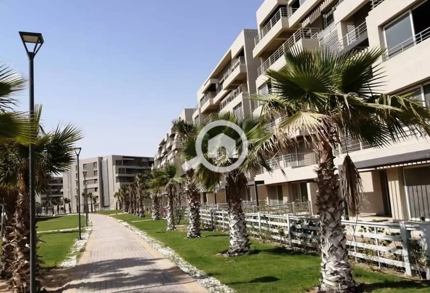 11 287769593_4866117120178446_2713307480519348311_n. jpg