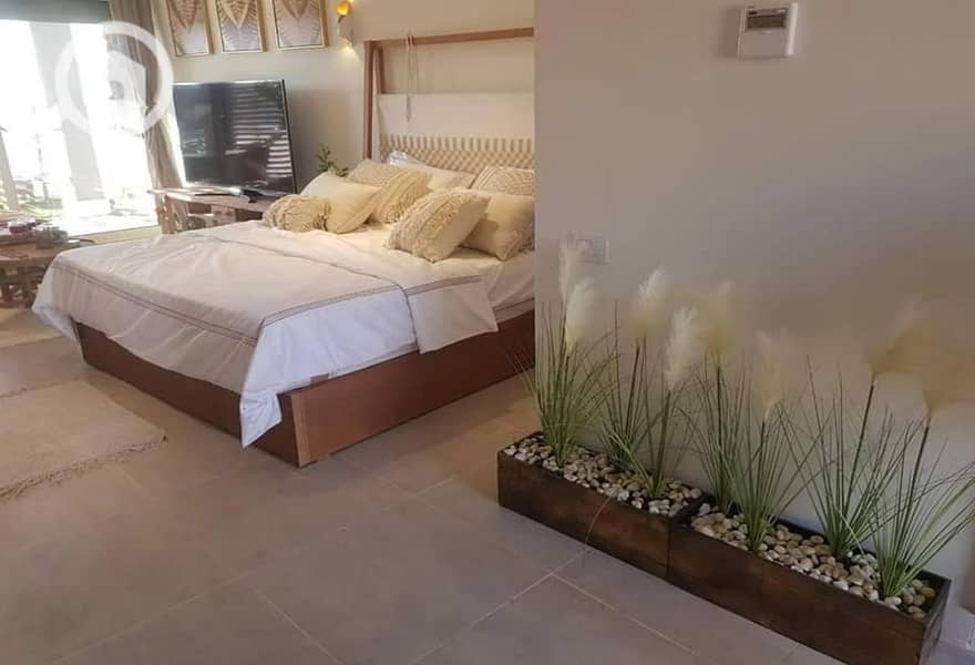 7 233467409_843665003188499_8885252558537618768_n. jpg