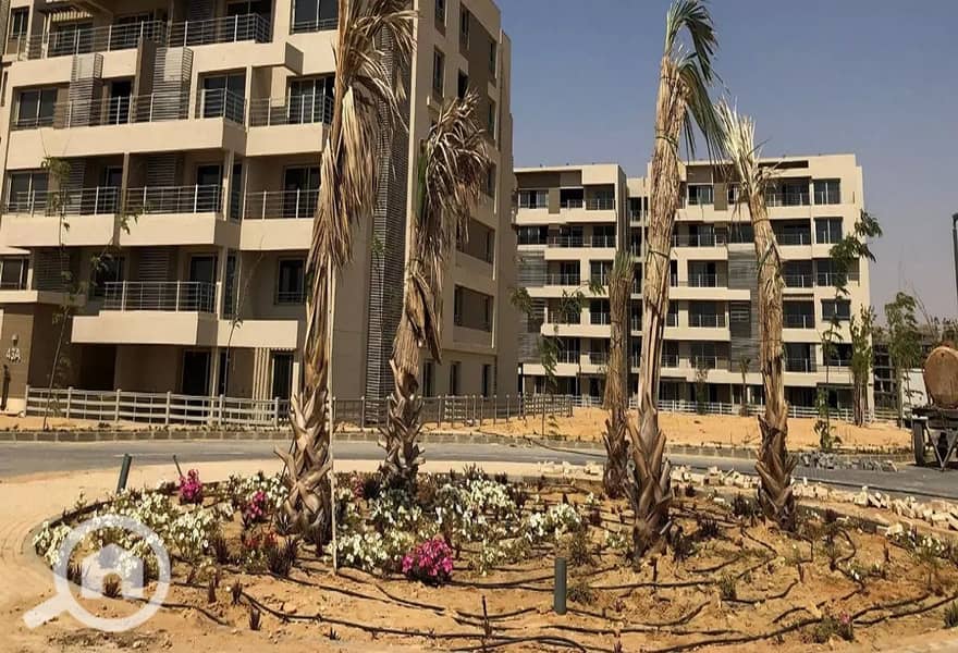 4 287766625_4866117153511776_3506312400409091071_n. jpg