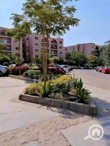 4 598475131_122252918840185506_7319515853703975369_n. jpg