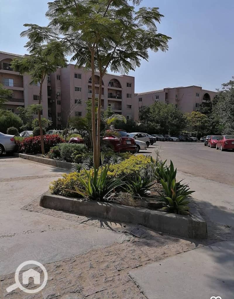 12 3ba96910-d862-4726-809f-2f98da480855. jpeg