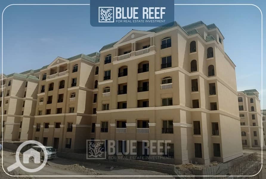 5 WhatsApp Image 2025-09-30 at 7.50. 06 PM (2). jpeg