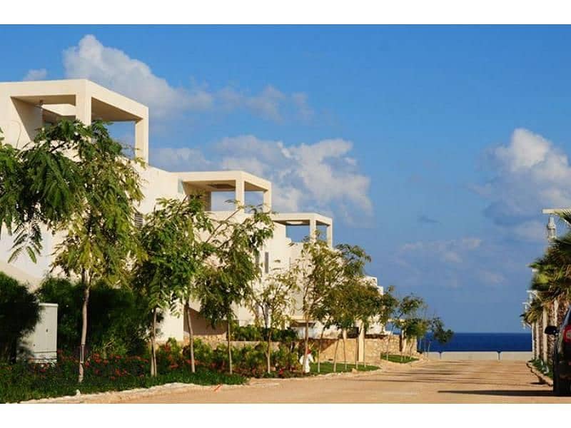 5 WhatsApp Image 2025-11-12 at 10.57. 08 PM (2). jpg