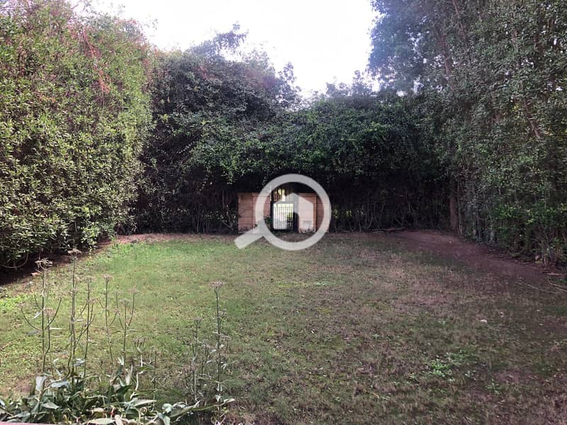 3 0895f25e-afb1-4b9f-bb23-af8022ee9798. jpg