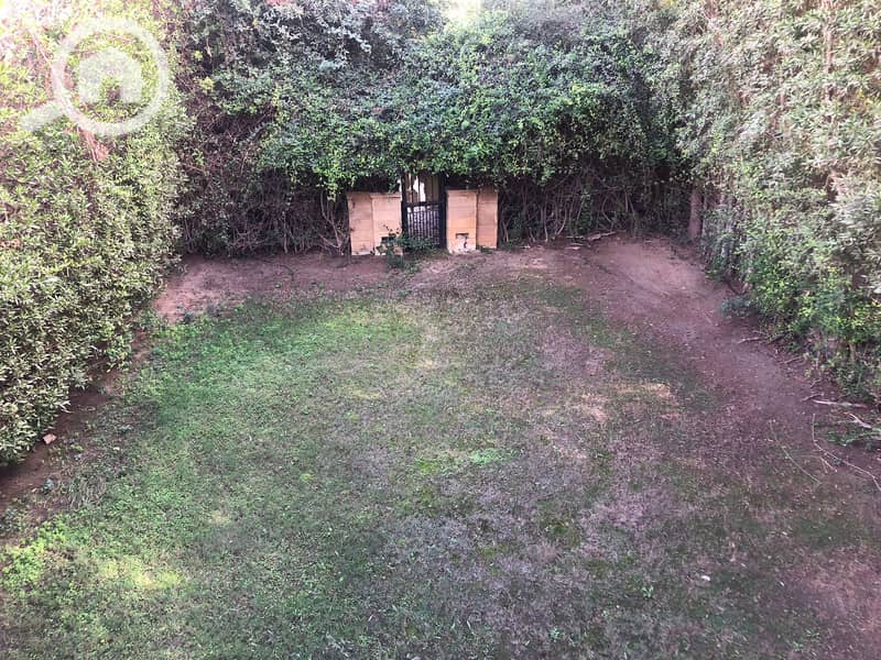 5 cc3e60b8-fab4-42c0-aee0-d26ea1fc53e4. jpg