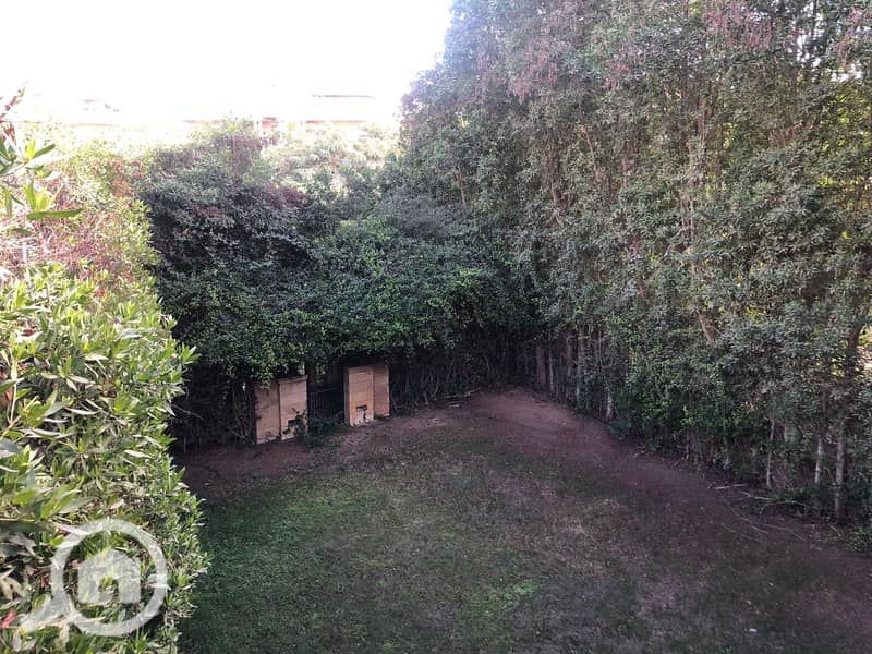 6 fbcb14c1-4b1b-41a6-b57c-89e95bb12ced. jpg