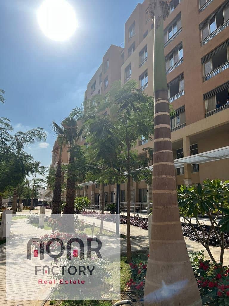 11 WhatsApp Image 2025-07-28 at 1.48. 13 PM. jpeg