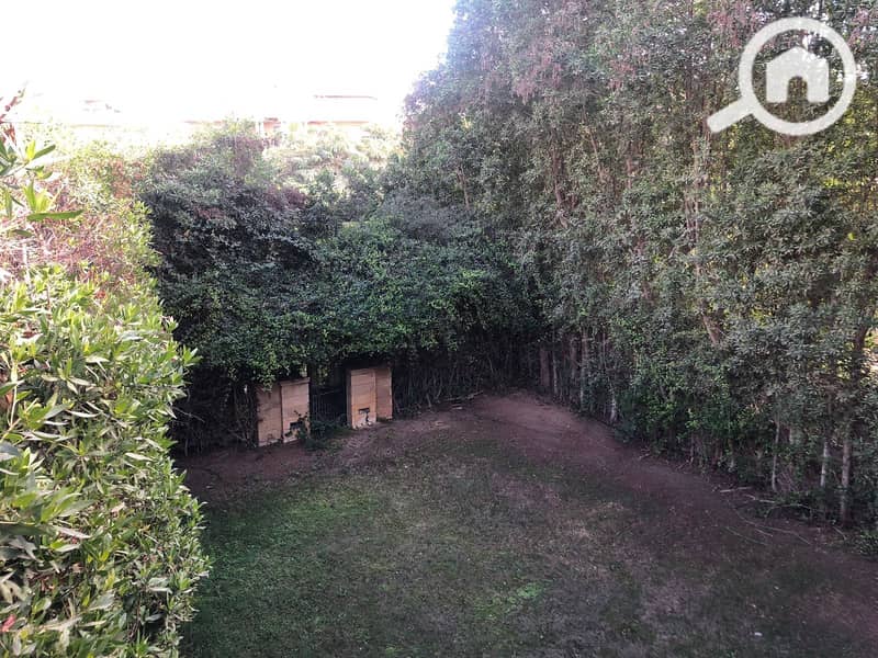 2 41d18fea-2fac-4bb5-9939-50c7ed1c61e6. jpg