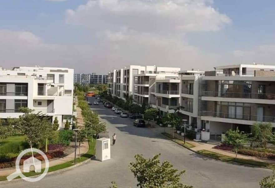 7 8474642-516afo. jpg