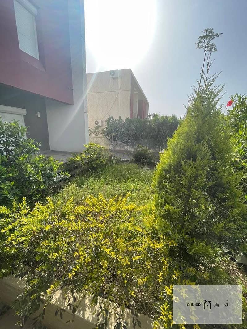 11 50b56665-93e1-4178-a6c5-d7333972fdf3. jpg