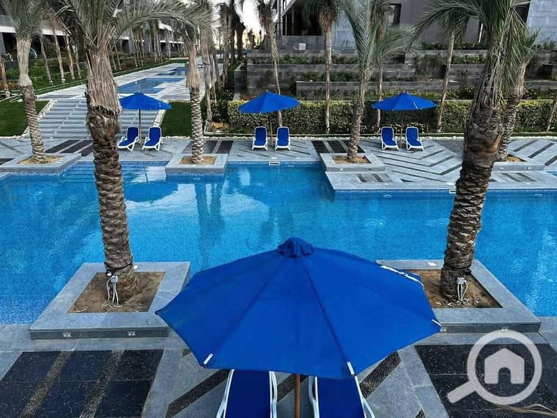 6 6c25be8a-8d14-4233-a846-bfdec98d2c4f. jpg