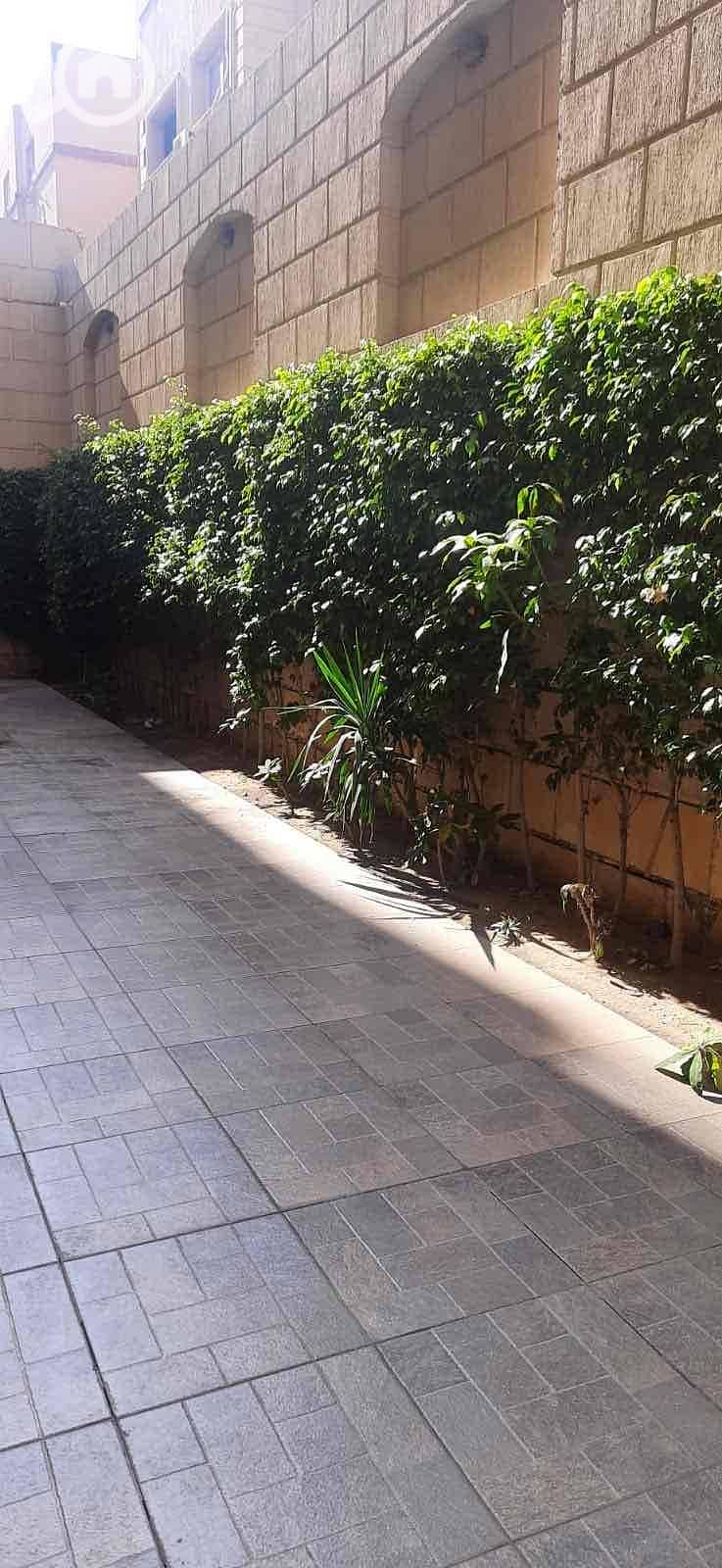 27 31b551fd-1af2-4dce-9d48-576b210aa064. jpg