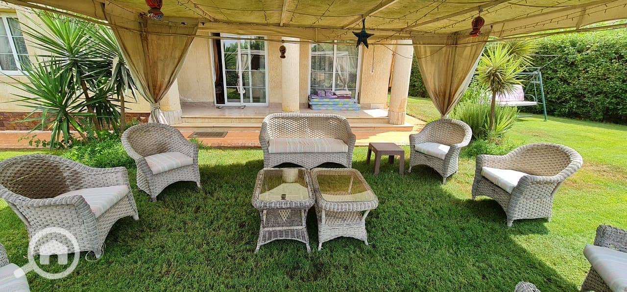 9 ff2248e0-02e0-44a2-b5a4-dc5773ffff0f. jpg