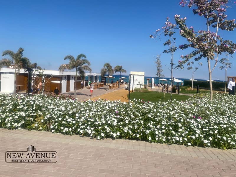 4 WhatsApp Image 2025-08-04 at 12.38. 20 AM (1). jpeg