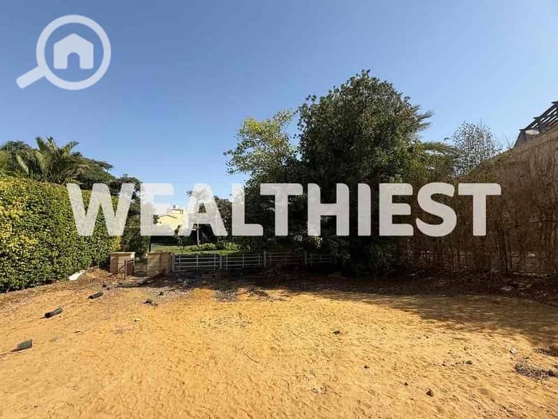 6 5efeee4f-5ddb-4a84-8075-ef86583ede7f. jpg